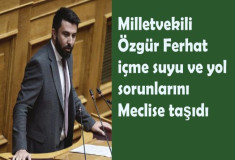 Milletvekili Özgür Ferhat içme suyu ve yol sorunlarını Meclis'e taşıdı