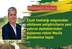 Milletvekili Zeybek, çiçek salgınından etkilenen yetiştiricilerin yeni yatırım desteklerinden dışlanma riskini Meclis gündemine taşıdı