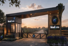 Bluefarm Tarım'a Maxis Girişim'den 2. Tur Yatırım